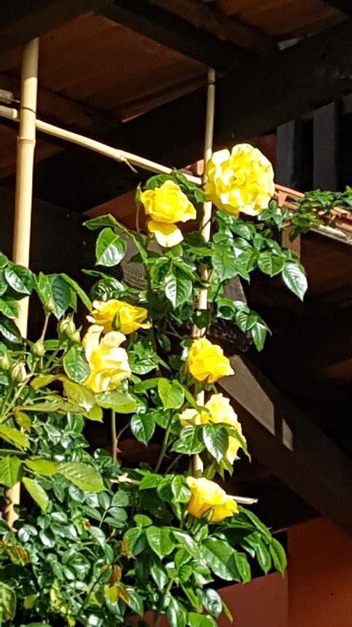 B&B La Cascina di Monia e Mario Borgo Ticino Esterno foto