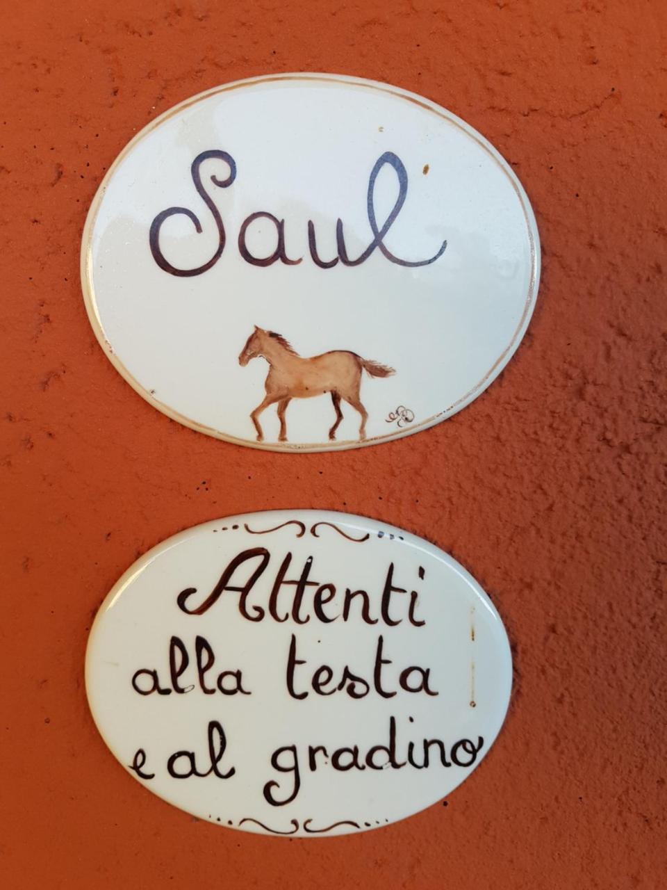B&B La Cascina di Monia e Mario Borgo Ticino Esterno foto